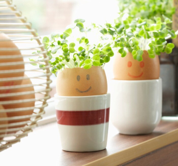 World Environment Day: Creative Ways to Re-Use Your Household Waste World Environment Day: Creative Ways to Re-Use Your Household Waste