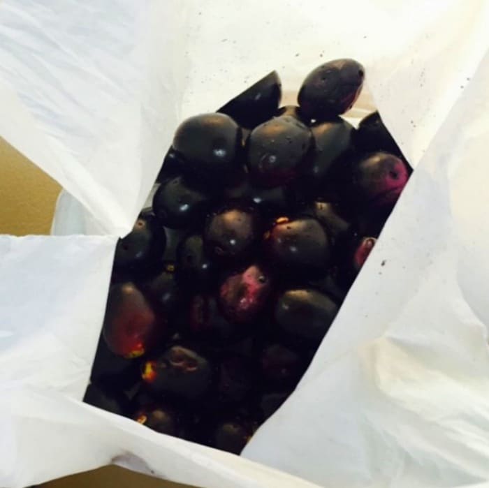 Happy Birthday Priyanka Chopra 18 Foods the Actress Loves to Eat