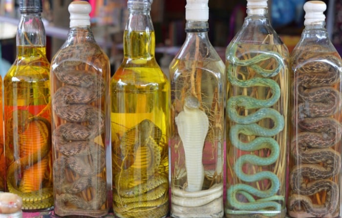 Snake Wine Snake Wine