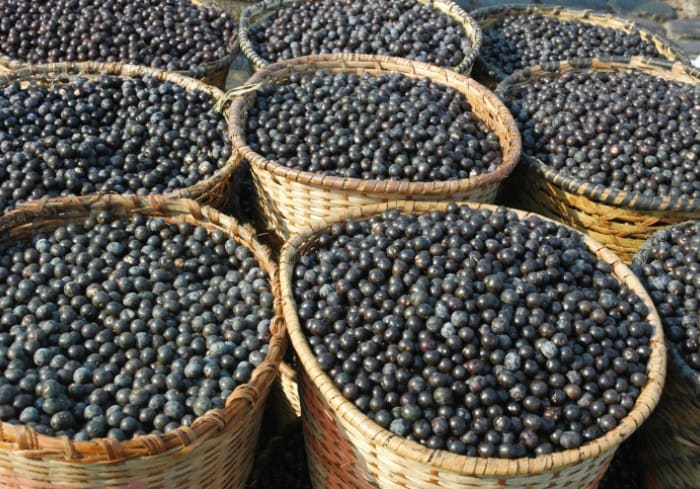 Superfoods You Should Know About Superfoods You Should Know About