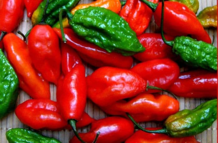 Top 10 Chillies in Order of Hotness Top 10 Chillies in Order of Hotness