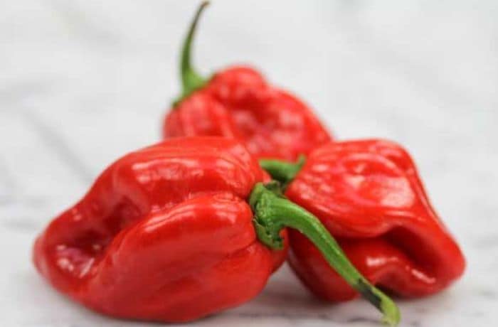 Top 10 Chillies in Order of Hotness Top 10 Chillies in Order of Hotness