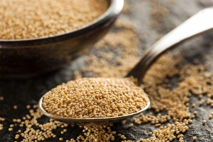 More than Meat: The Best Vegetarian Sources of Protein More than Meat: The Best Vegetarian Sources of Protein