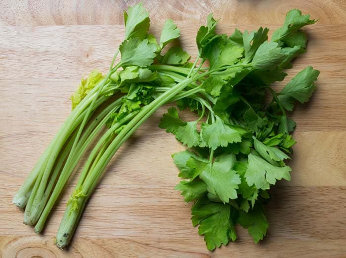 More than Meat: The Best Vegetarian Sources of Protein More than Meat: The Best Vegetarian Sources of Protein