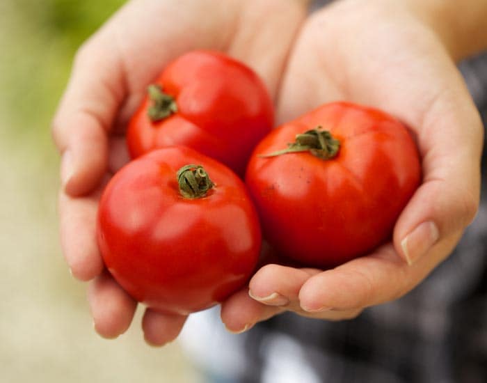 Time to Up Your A-Game: 11 Foods Highest in Vitamin A Time to Up Your A-Game: 11 Foods Highest in Vitamin A