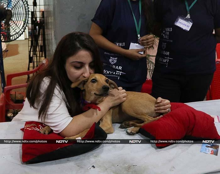 Alia Bhatt\'s ‘Puppy Love\' is The Cutest Thing Online Today