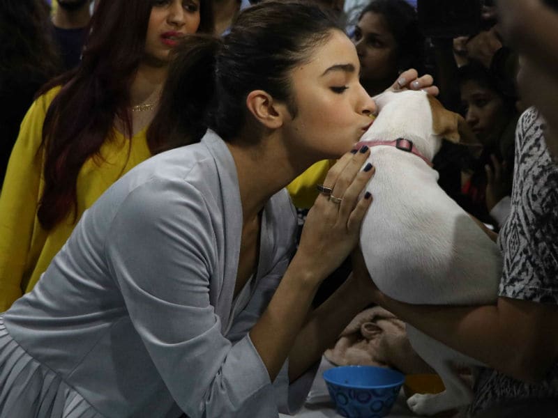 Photo : Alia Bhatt's 'Puppy Love' is The Cutest Thing Online Today
