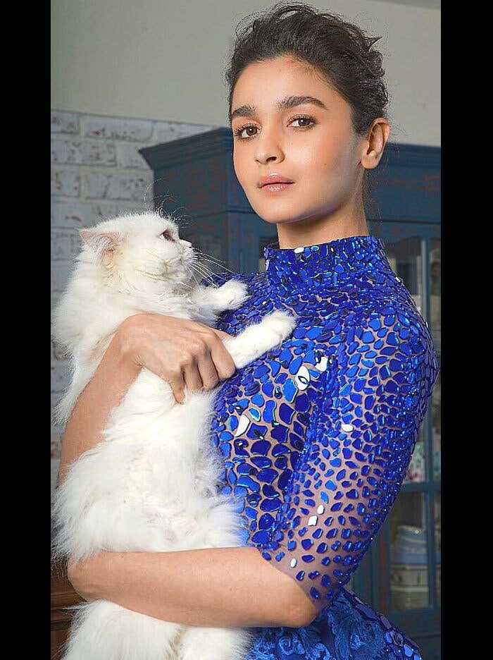 alia bhatt in saree in shaandaar