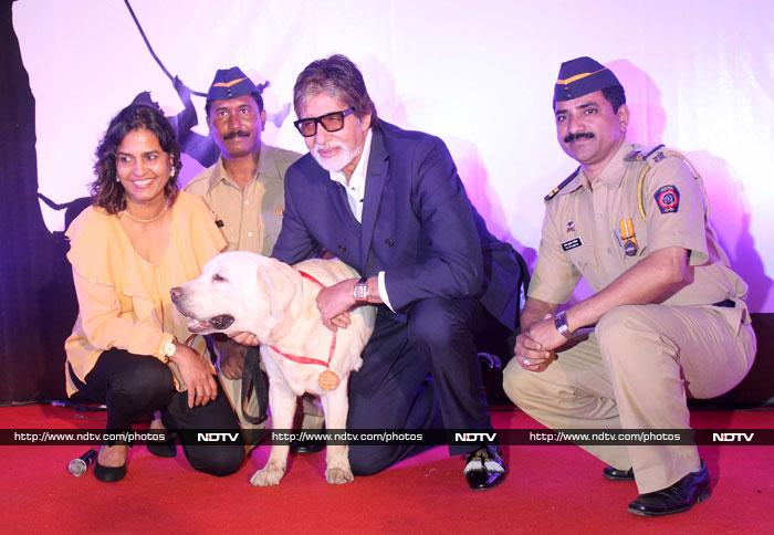 Big B\'s day out with canny canines