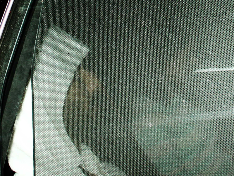 Shahid Kapoor, Mira Rajput's <i>Baahubali</i> Movie Date