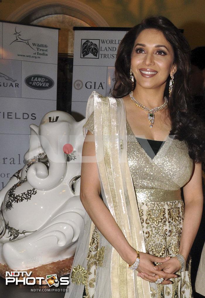 Madhuri at Emeralds for Elephants event