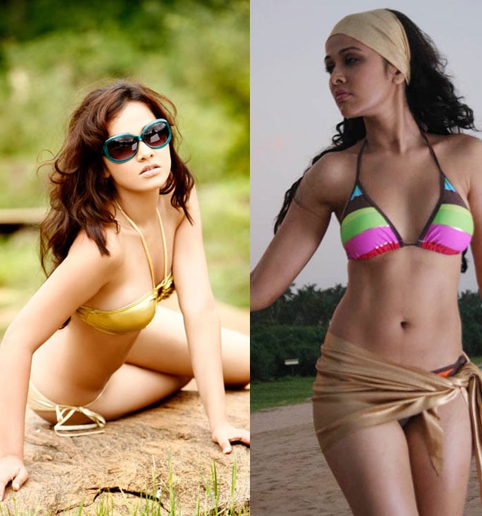 Ram Gopal Varma's flavour of the month Nisha Kothari has little to her filmi credit aside her bikini bod.