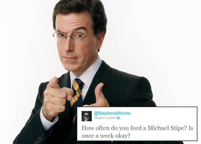 <b>Stephen Colbert</b>: How often do you feed a Michael Stipe? Is once a week okay?