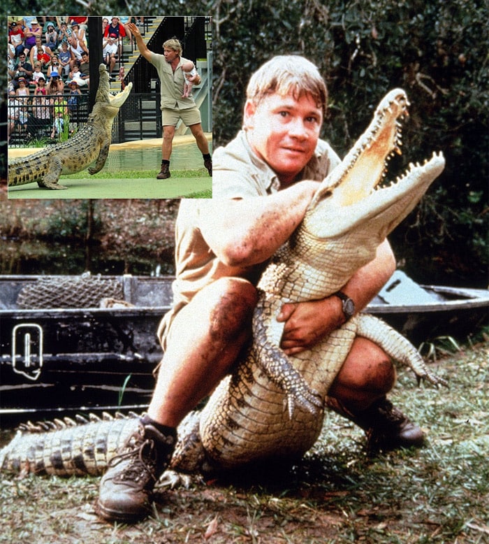 It was a stunt considered too wild even for a man known as the 'Crocodile Hunter'. Late Steve Irwin was branded as reckless and irresponsible by family and children's groups for taking his month-old son to within a few feet of a feeding crocodile at the Australia Zoo on Queensland's Sunshine Coast. Irwin held his baby son Bob under one arm while he fed a 13-foot crocodile named Murray with a dead chicken. Irwin later walked the baby inside the crocodile's enclosure as crowds looked on. The televised incident sparked an investigation by the Queensland state Families Department over whether Irwin had breached workplace safety regulations. Irwin narrowly escaped facing charges for what was described at the time as 'very irresponsible action'.