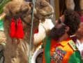 Photo : The Dictator brings his camel to Cannes