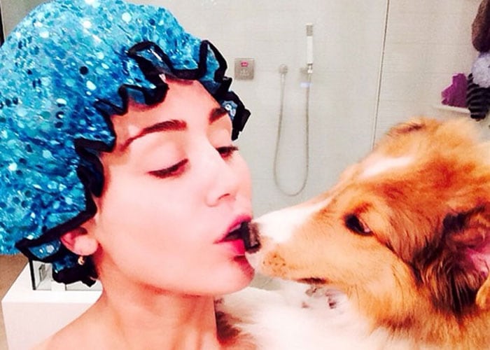 Puppy Love: Miley Had a Secret and Now It\'s Out