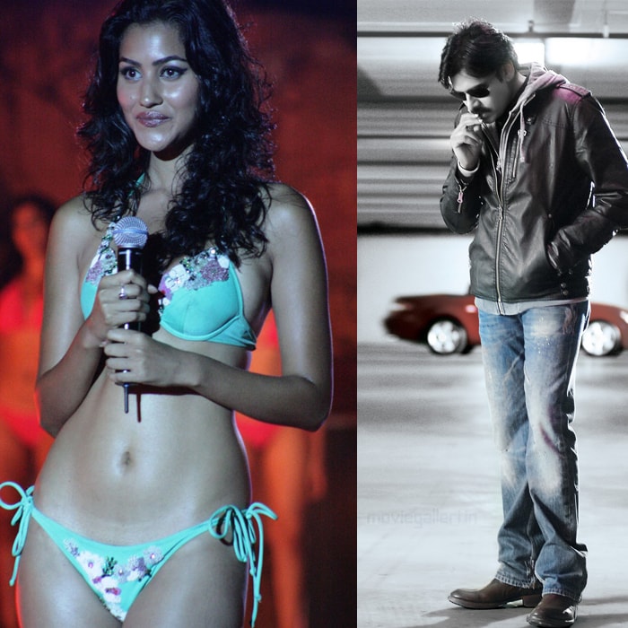 Bikini model to romance Pawan Kalyan