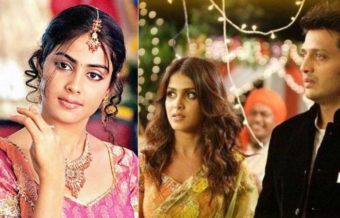 In 2004, Genelia was seen in a cameo in the movie <i>Masti</i> but that year she was more noted for her southern films <i>Samba</i> and <i>Sye</i>.