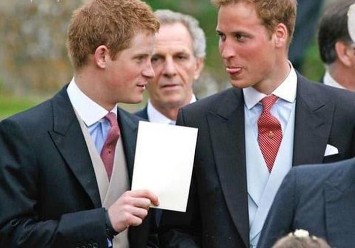 Harry and William: Brothers In Arms