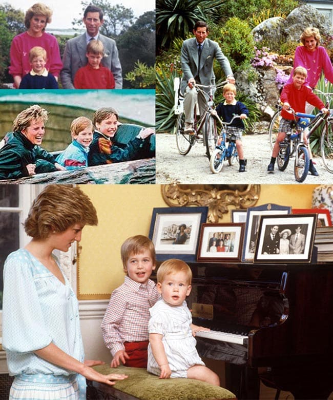 Harry and William: Brothers In Arms