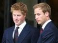 Photo : Harry and William: Brothers In Arms