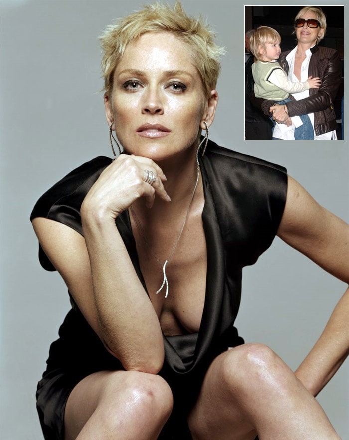 Sharon Stone, 51, has three adopted sons - Roan Joseph Bronstein, eight, Laird Vonne Stone, who is almost four, 3-year-old Quinn Kelly. This is what the 'Basic Instinct' star told 'People' magazine: "The most surprising part of being a mom is that I can actually accomplish it all every day. And get them all under the blankets every night." She admitted that while it was hard work to care a family on her own, it was ultimately worth it.