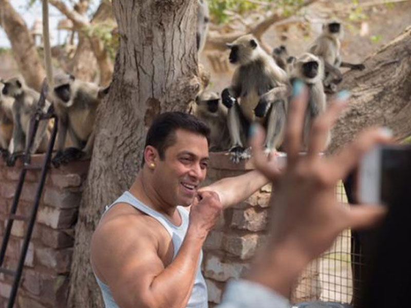 Salman's Star-Struck 'Fans' on the Sets of <i>Prem Ratan Dhan Payo</i> Salman's Star-Struck 'Fans' on the Sets of <i>Prem Ratan Dhan Payo</i>