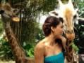 Photo : In Singapore for IIFA, Bipasha enjoys a day out at zoo