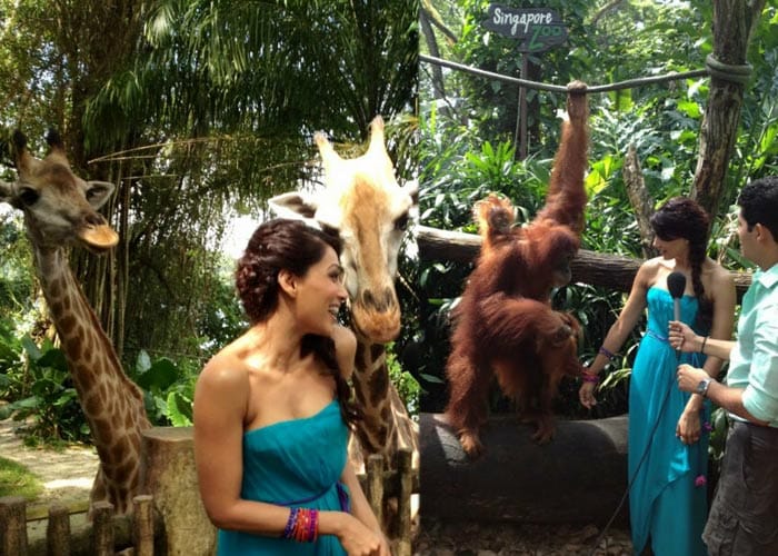 In Singapore for IIFA, Bipasha enjoys a day out at zoo