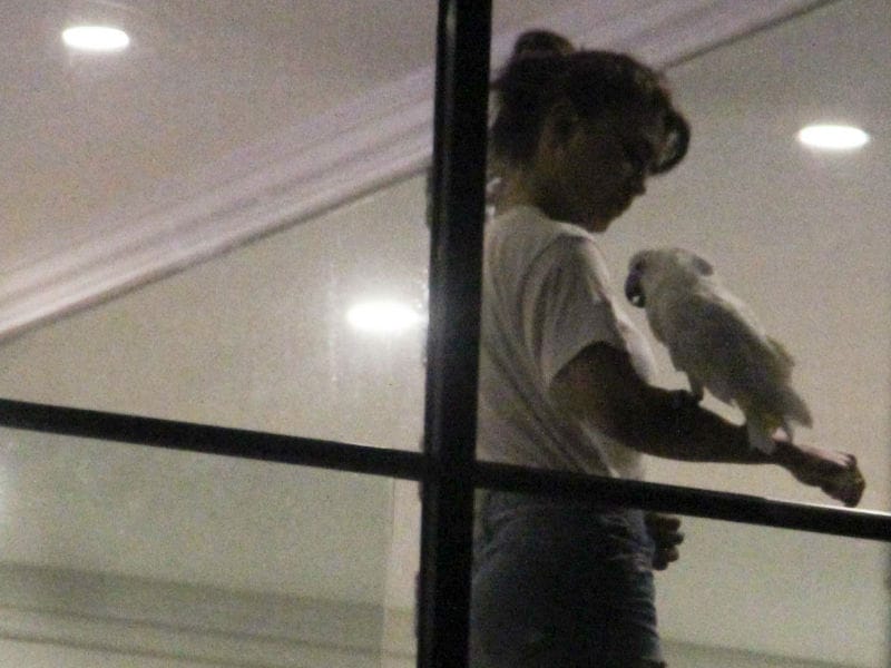 Photo : Jacqueline Fernandez And A Night Owl
