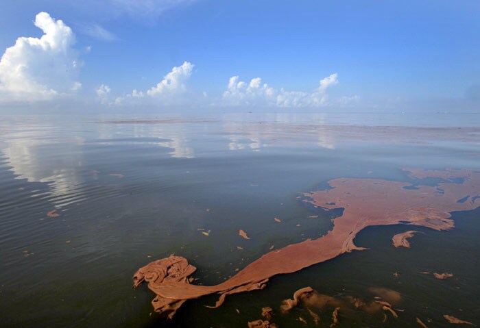 Oil from the Deepwater Horizon spill floats on the water as the sky is reflected in sheen on Barataria Bay off the coast of Louisiana on Monday, June, 7, 2010.  (Photo: AP)