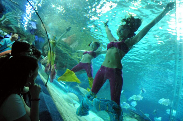 Aqua dancers dressed as mermaids entertain visitors at an aquarium in Beijing on June 11, 2010. Global tourism faces a challenging year due to the downturn but the future is bright, with a growing middle class in emerging markets eager for travel, according to travel industry executives. (Photo: AFP)