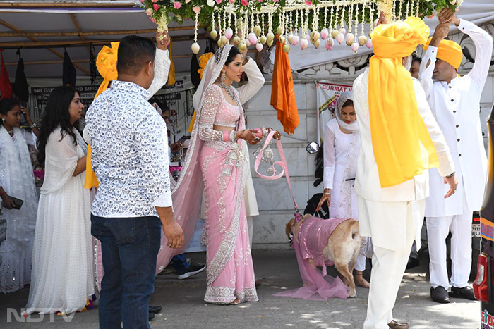 Sonnalli Seygall was accompanied by her pet pooch during her bridal entry. (Image courtesy: Varinder Chawla)