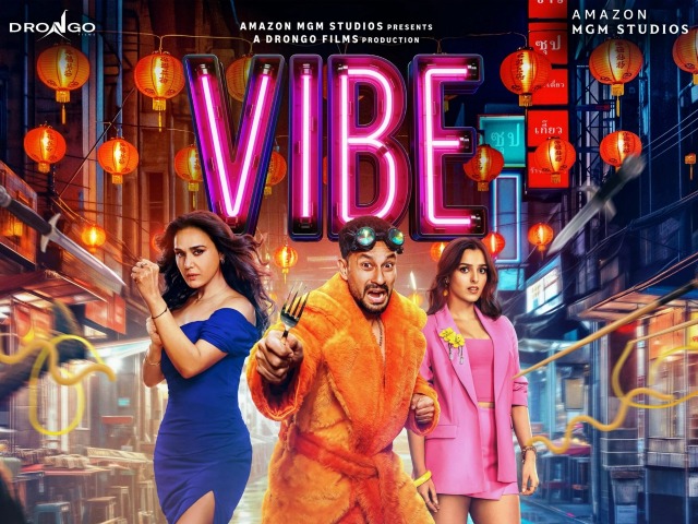 VIBE से मैच हो गई है आपकी वाइब? तो देख डालिए ये 5 फिल्में, जासूसी, एक्शन और कॉमेडी का मिलेगा तगड़ा तड़का
