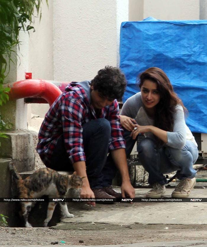 Finally, she looked up with a smile and spotted her feline fan.