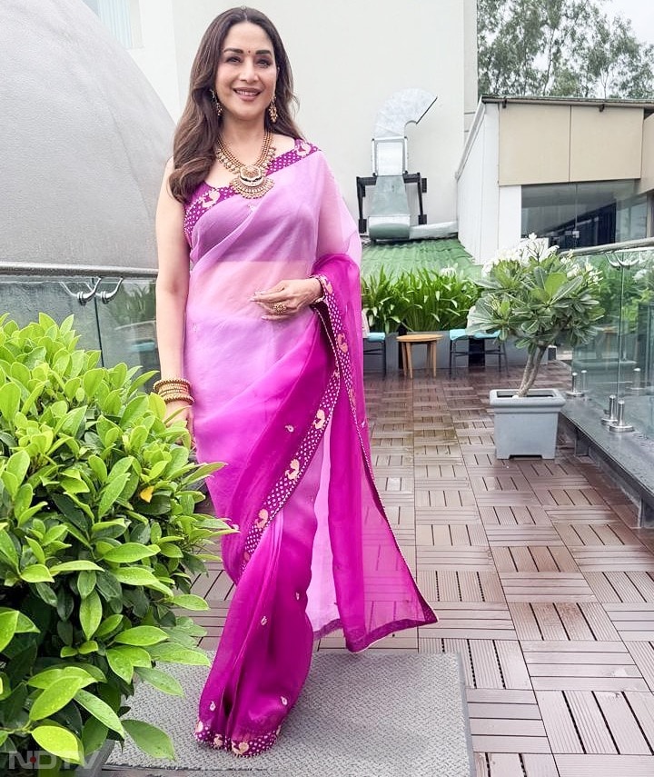 दिन के फंक्&zwj;शंस के लिए इस तरह की लाइटवेट साड़&zwj;ियां अच्&zwj;छी लगती हैं. madhuridixitnene/Instagram