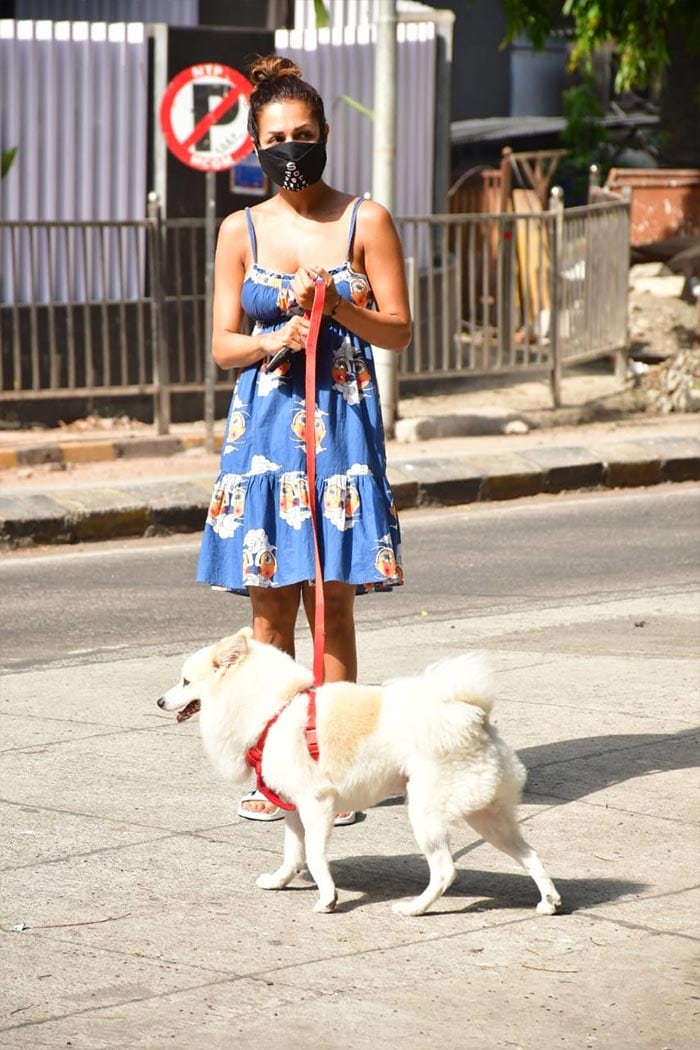 Malaika Arora Takes Pet Dog Casper Out For A Walk