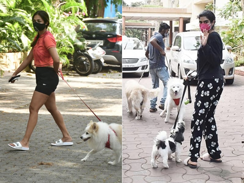 Photo : Keeping Up With Malaika Arora, Khushi Kapoor And Their Adorable Pet Pooches