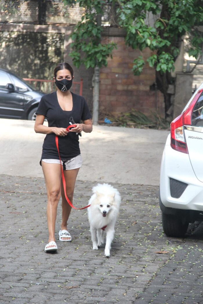 Actress Malaika Arora was on Thursday spotted taking a walk with her dog in Mumbai.
