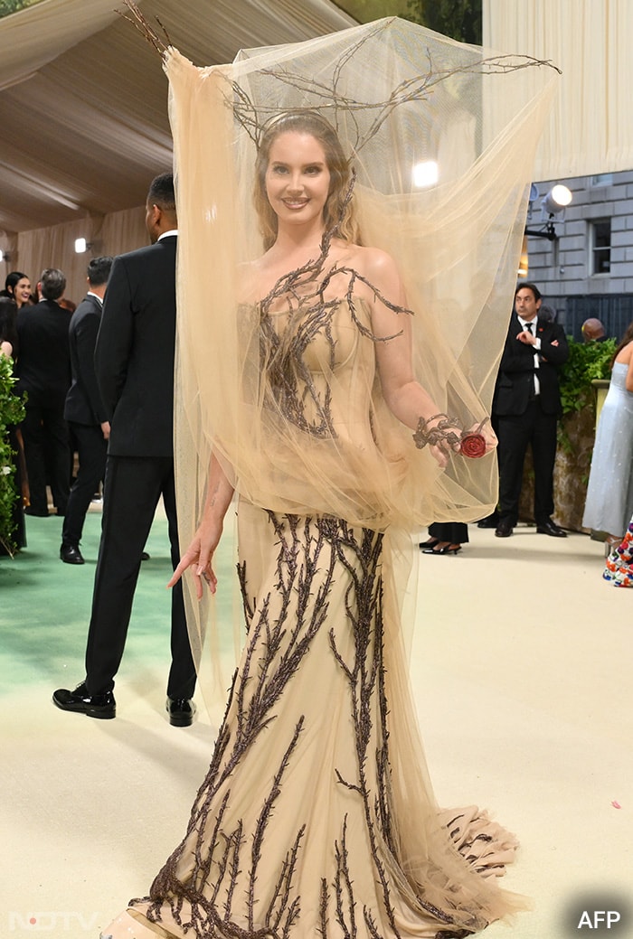 Lana Del Rey conquered the red carpet in a brown-hued dress by Alexander McQueen. (Image courtesy: AFP)