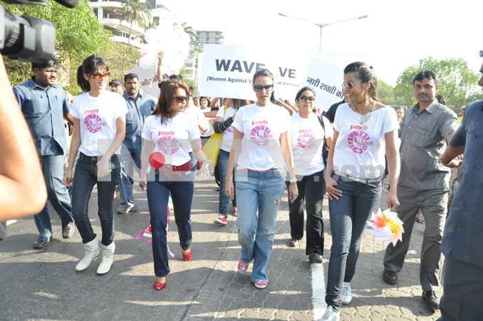 Bollywood stars Neha Dhupia, Minissha Lamba and Mugdha Godse protest against domestic violence on women.