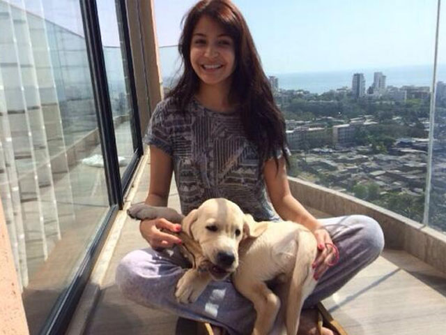 The other 'dude' in Anushka Sharma's life