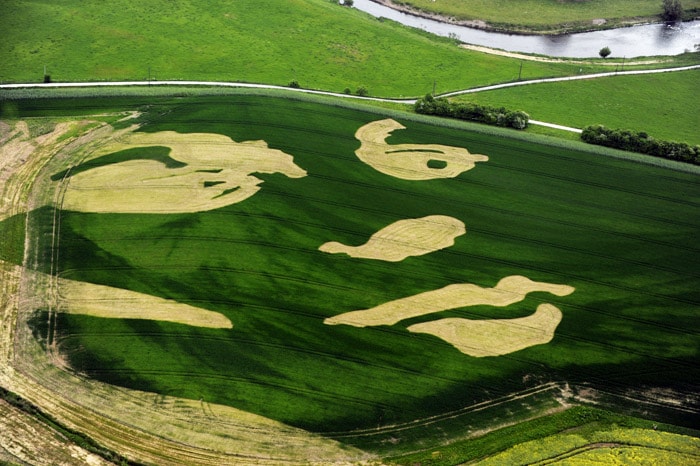 A so-called landscape image showing the portrait of a woman can be seen on a field situated at the Lippe river near Datteln, western Germany. The landscape image is part of the art project "Lippe+" and was produced with the aid of GPS-controlled land management. Within several years, the plants of which the image consists will have grown, so that the image will appear in full extent. (Photo: AFP)