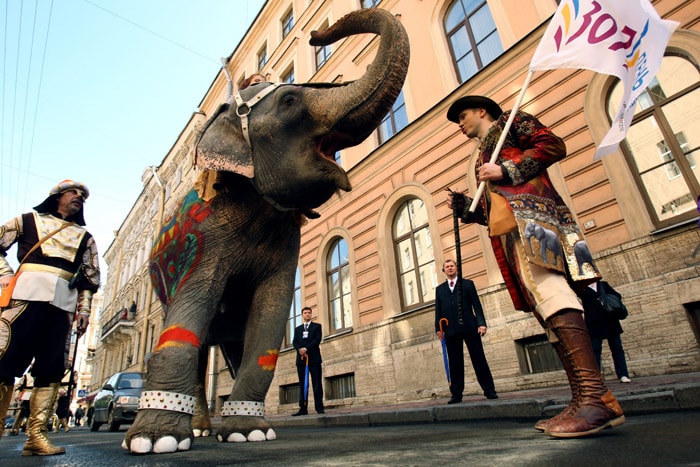 An Italian circus's member gives orders to an elephant as they parade during the celebration the 307th anniversary of Russia's old imperial capital Saint Petersburg on May 29, 2010. (Photo: AFP)