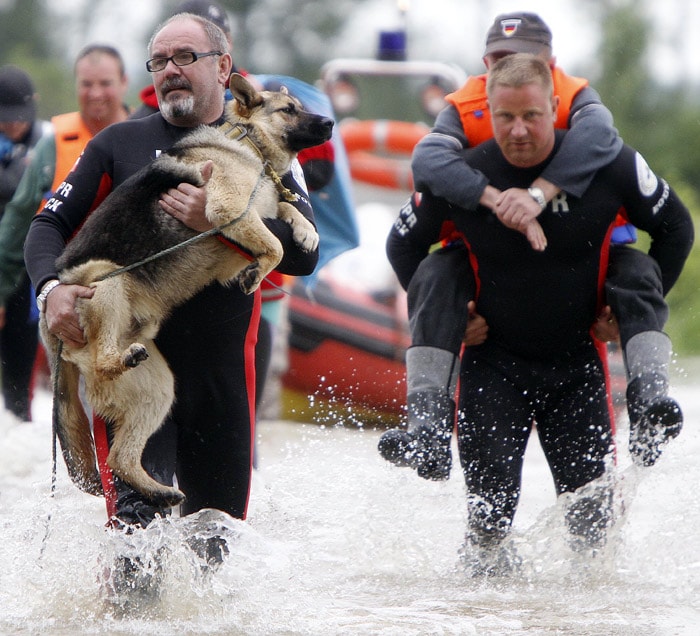 Firefighters evacuate a dog and a resident from a flooded  area on the outskirts of the town of Iuliszew, near Plock, in Poland, on Monday, May 24, 2010. Some thousands have been forced to leave their homes, as floods sweep through many parts of central Europe. (Photo: AP)