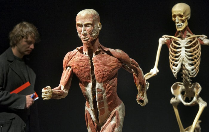 The exhibition 'Koerperwelten - Eine Herzenssache' (Body Worlds - The Story of the Heart) in Leipzig, eastern Germany, on Thursday, June 3, 2010. German Gunther von Hagens present his exhibition of more than 200 preparations in Leipzig from June 4 until Sept. 12, 2010. (Photo: AP)