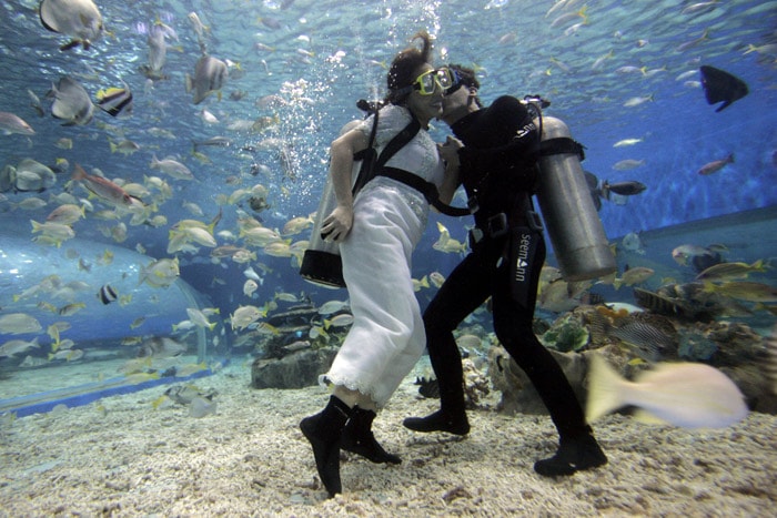 A Filipino diver dressed as the bride receives a kiss from the groom inside a giant acrylic acquarium during a promotional event titled 'June Weddings' at a Manila theme park on Sunday June 6, 2010. The event is made to attract more visitors to the Oceanarium. (Photo: AP)