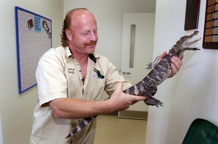 Mark Rosenthal, holds a three-foot long alligator at the Woodhaven Animal Control in Woodhaven, Mich., on Wednesday, June 2, 2010. The alligator was spotted walking down Riverside Drive in Trenton, Mich., on Tuesday night and was captured by Trenton police. Rosenthal, who owns a nonprofit rescue that handles abandoned exotic animal cases planned on taking the alligator back to his business. (Photo: AP)