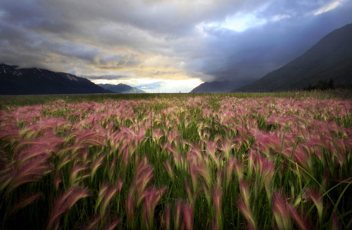 Storm clouds clear over Cook Inlet about 43 kms south of Anchorage, Alaska on Tuesday, July 6, 2010. The photo was taken around 9:48 pm Alaska Daylight Savings Time with the sun still high on the horizon. (Photo: AP)