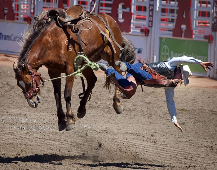 Cory Hines, from Rocky Rapids, Alta., comes off his mount Simon's Warrior, during novice saddle bronco rodeo action at Calgary Stampede in Calgary, on Friday, July 9, 2010. The annual Stampede kicks off Friday and runs for 10 days featuring rodeo action, chuck wagon races, a midway, agricultural exhibits and live stock competitions. (Photo: AP)